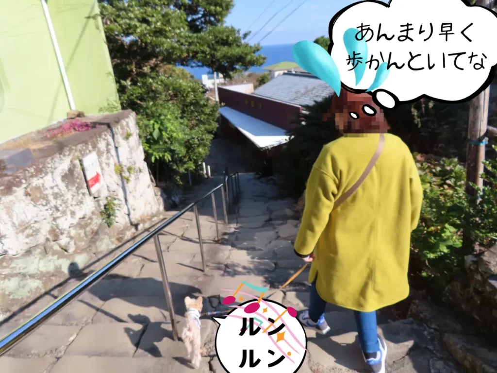 鵜戸神宮への参道