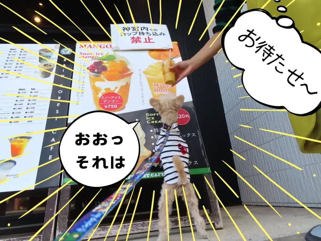 マンゴーフロストを注文