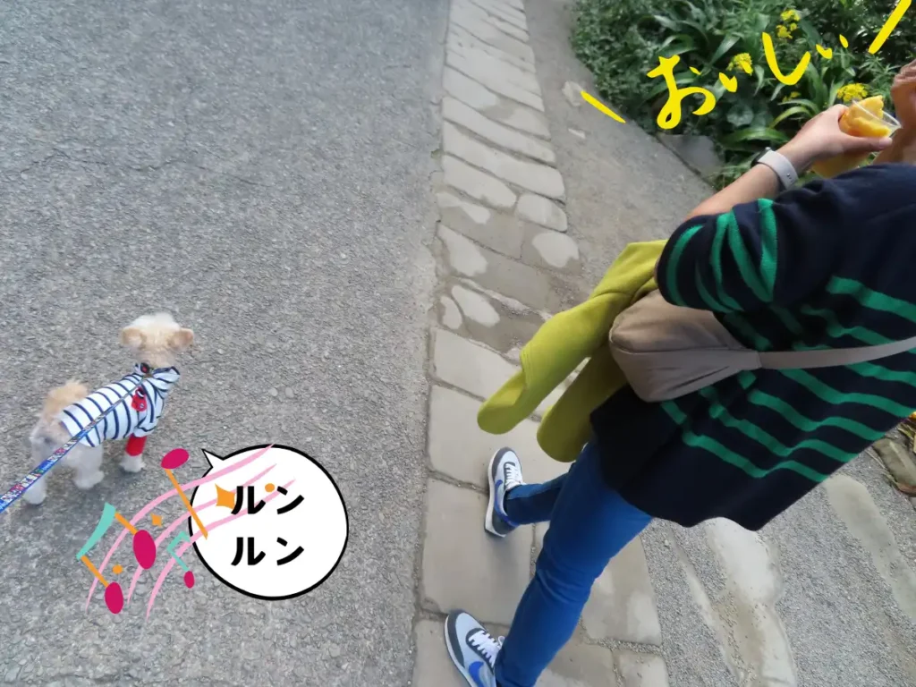 マンゴーフロストを飲みながら歩くママの犬