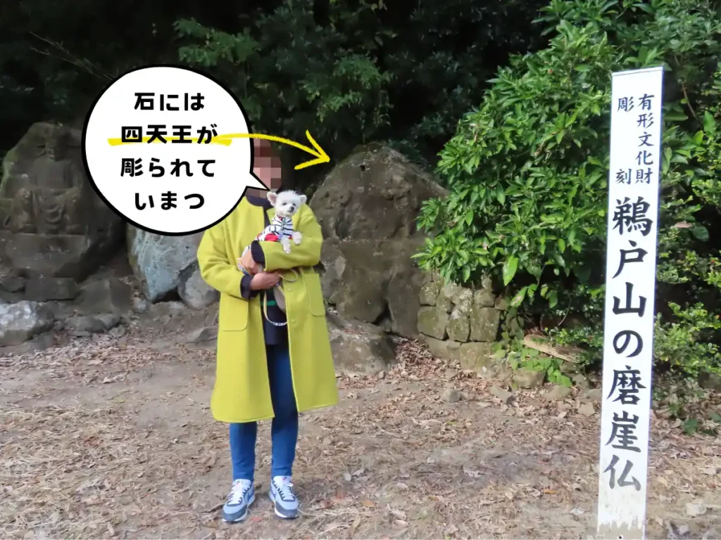 鵜戸山の磨崖仏
