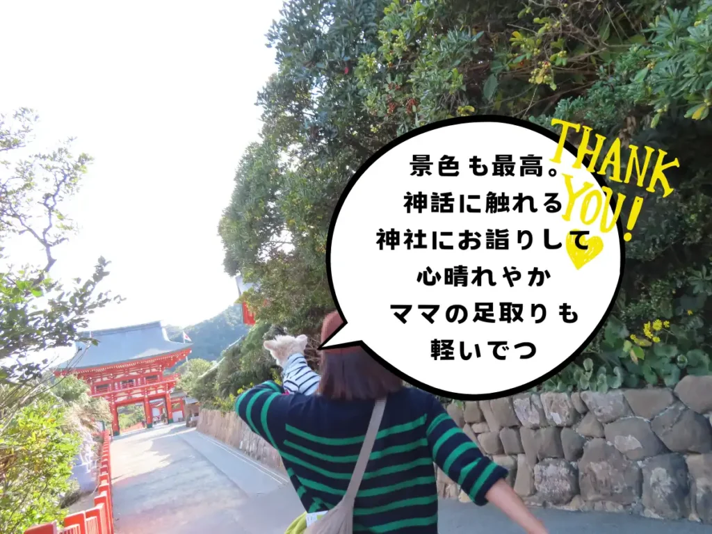 鵜戸神宮からの帰り道
