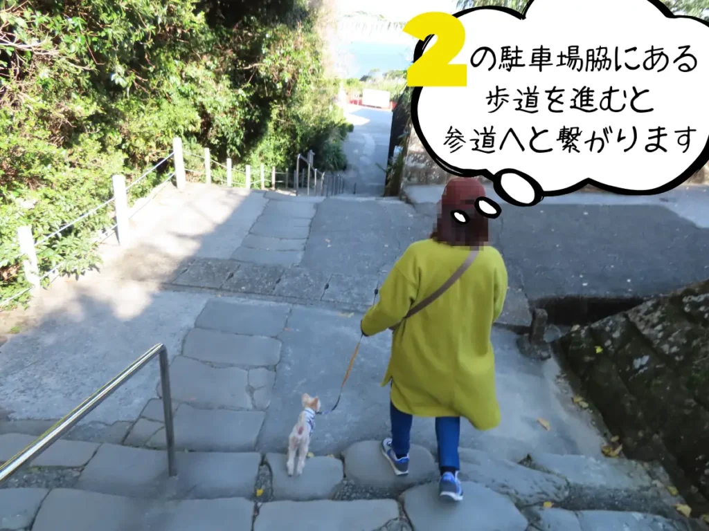鵜戸神宮への参道