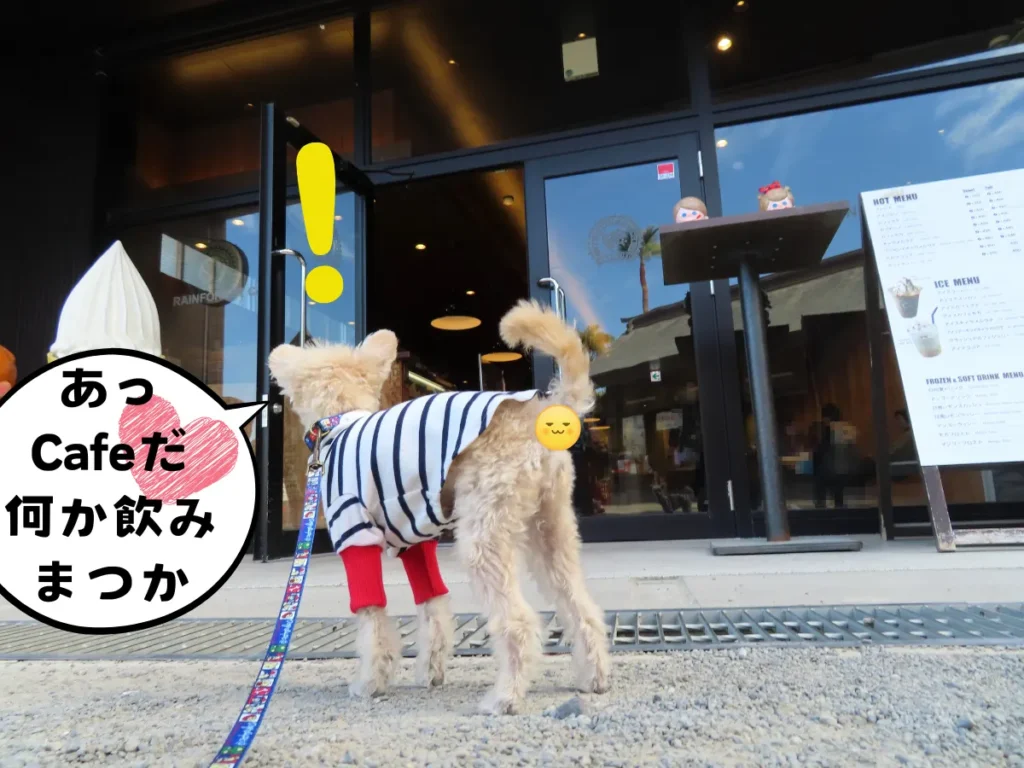 参道にあるカフェ