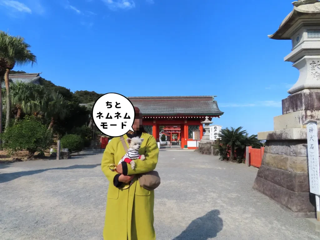 鵜戸神宮への入口