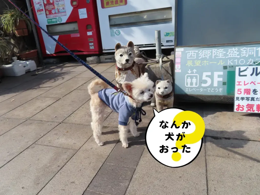 まち歩き観光ステーション前にある犬の像と本物の犬