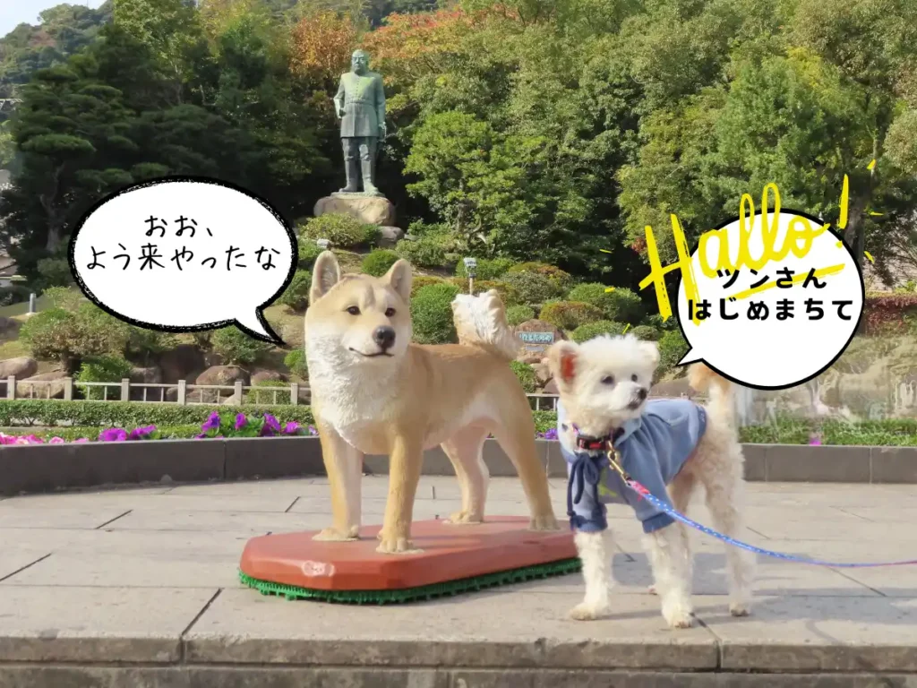 撮影ひろばのツンと記念撮影をする犬
