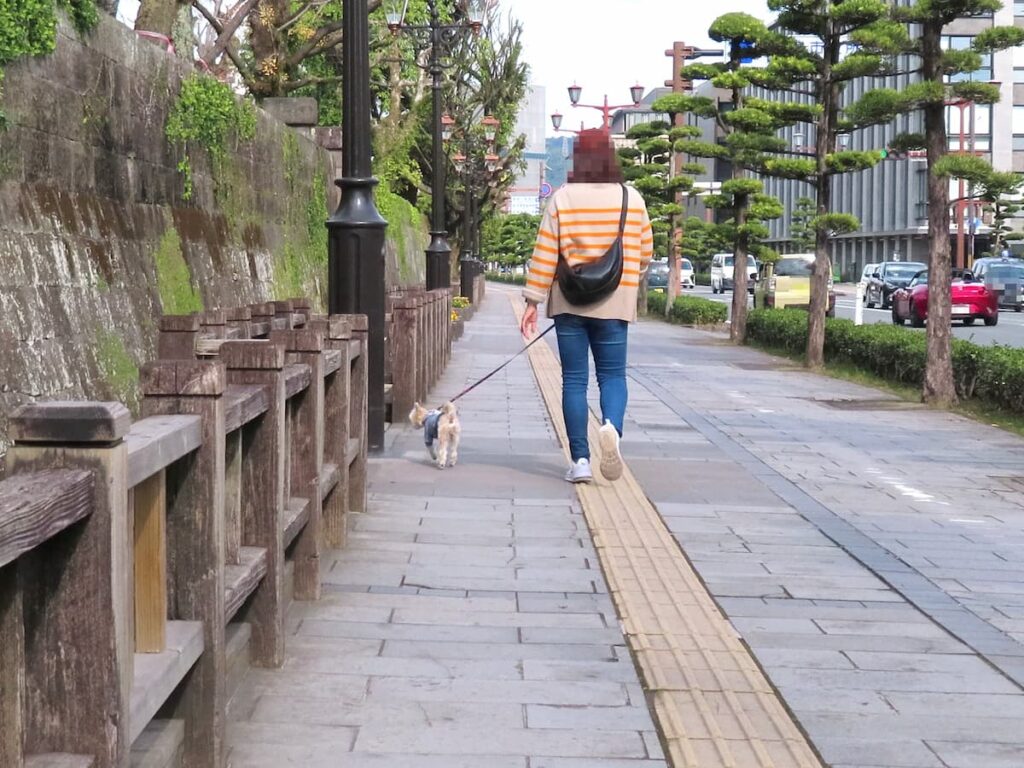 鹿児島城へと向かう歩道