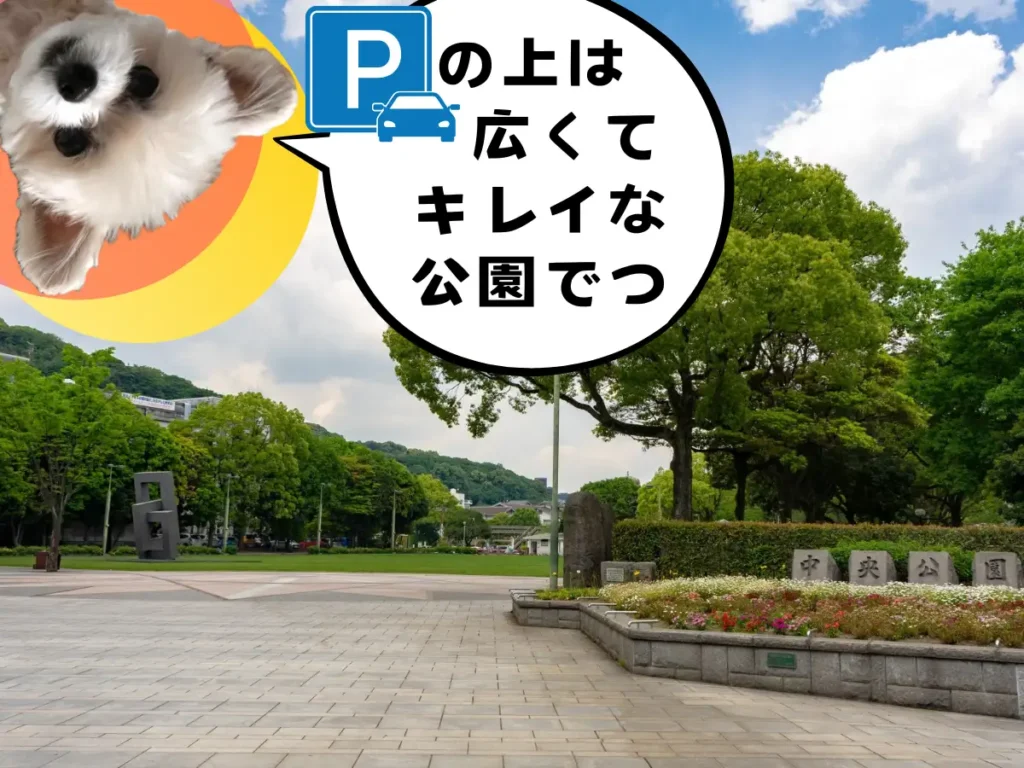 中央公園