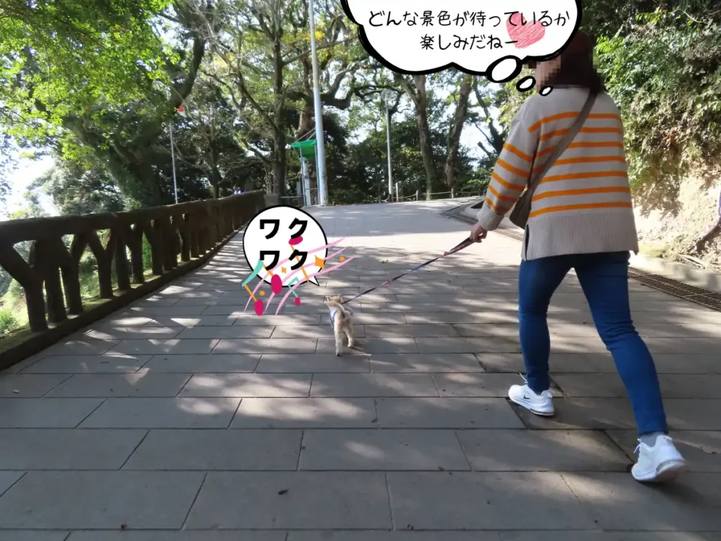 城山公園の遊歩道を歩く犬