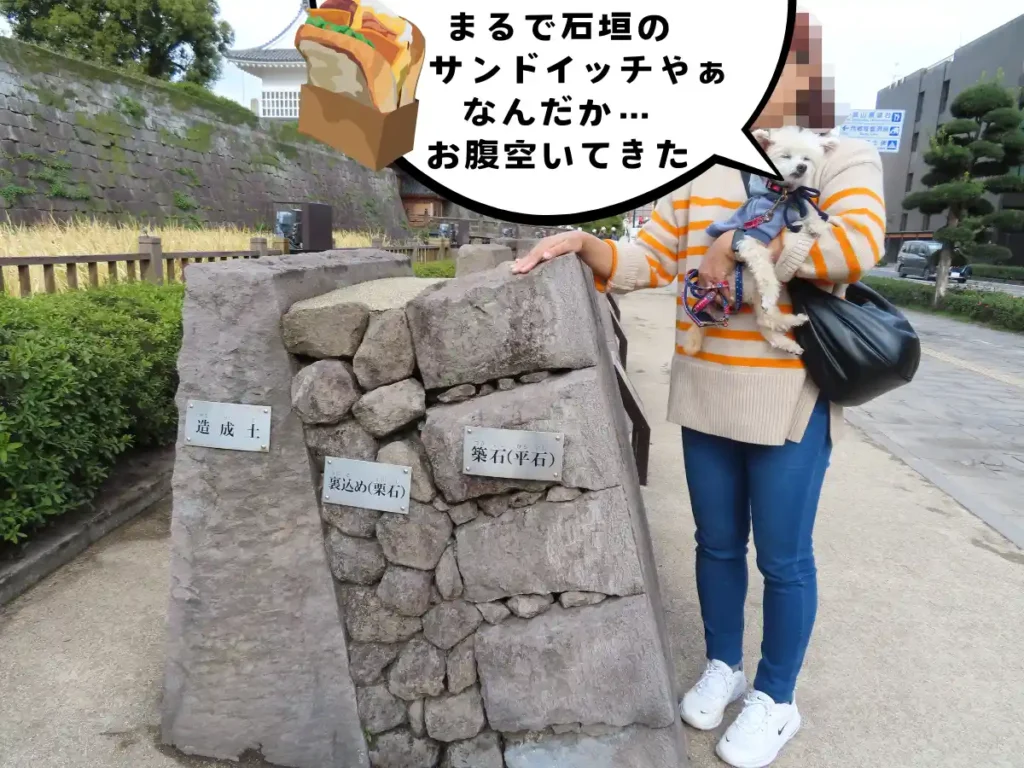石垣の断面展示