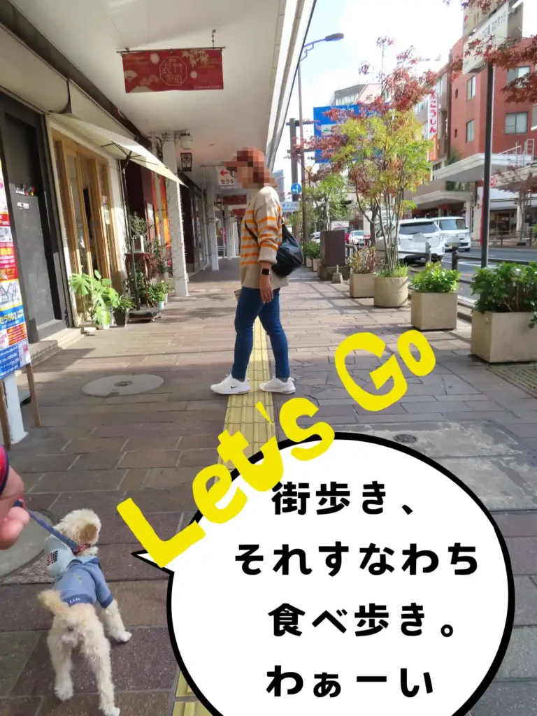 照国表参道を歩いて天文館へ