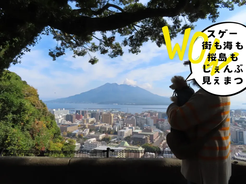城山公園から見る街並みと桜島
