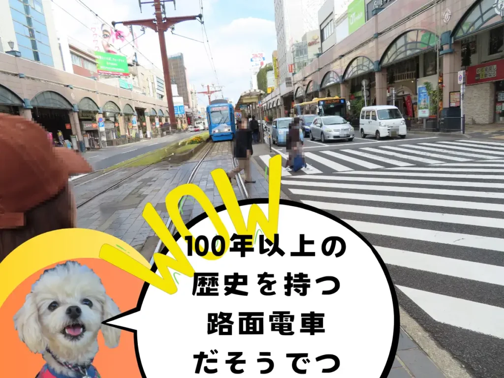 市内を走る路面電車