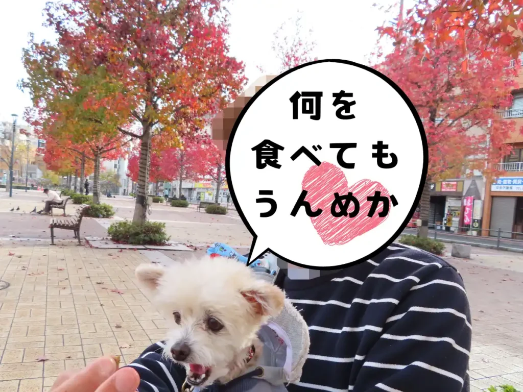 天文館公園