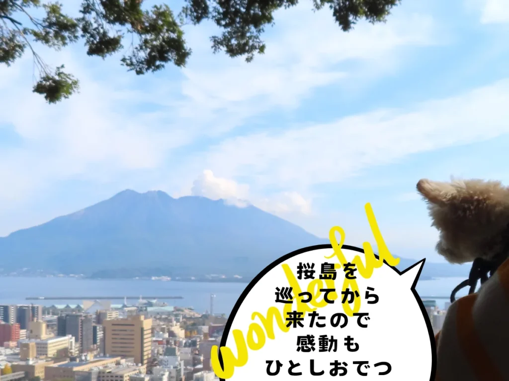 城山公園から見る桜島