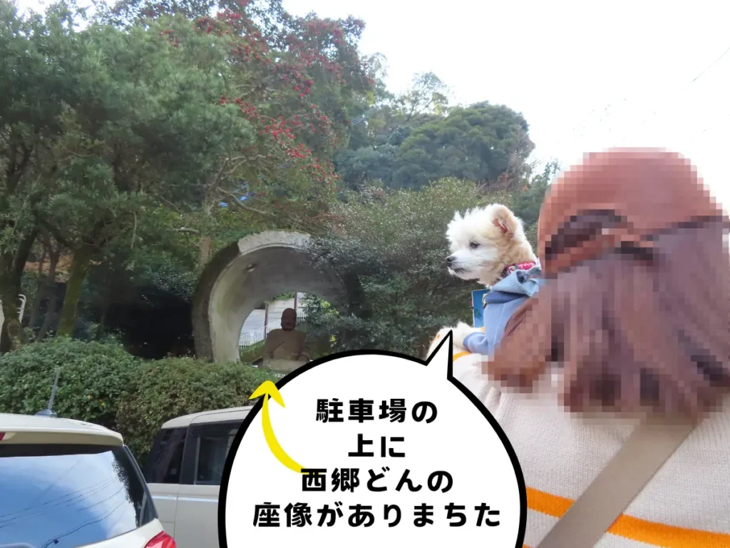 西郷洞窟の駐車場