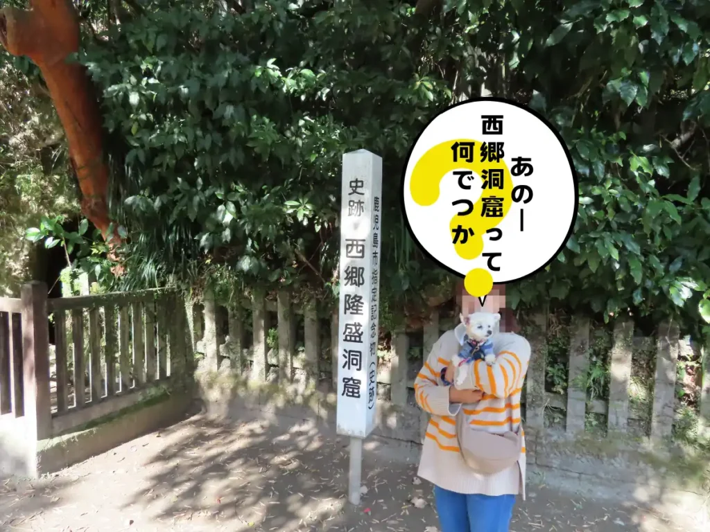 史跡西郷洞窟の案内板