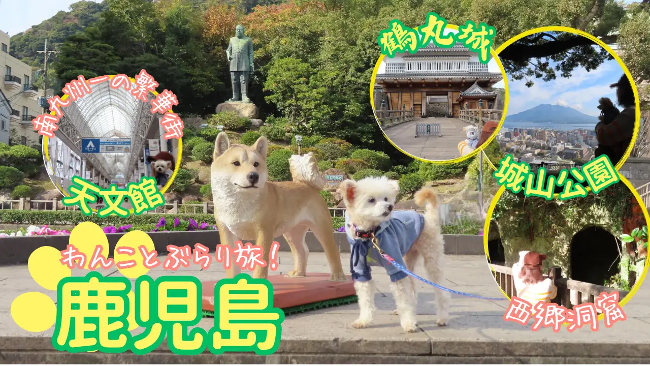 鹿児島犬連れ旅サムネイル