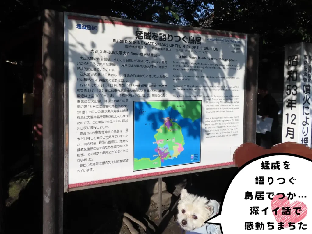 黒神埋没鳥居の説明板