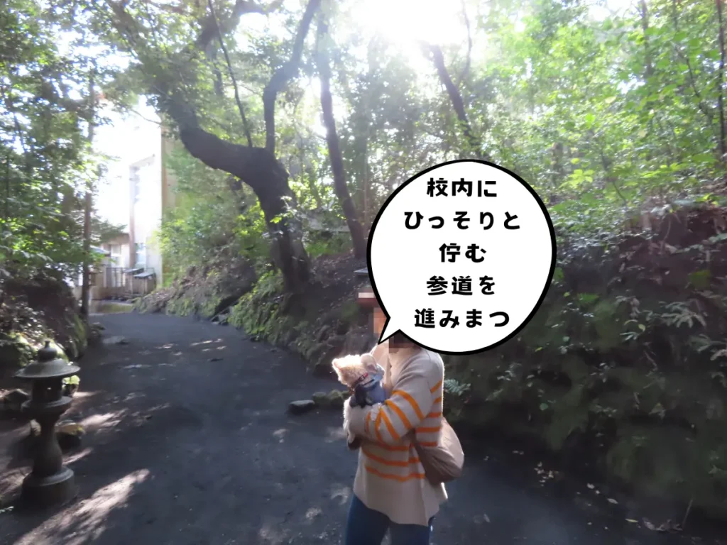 校内に佇む参道