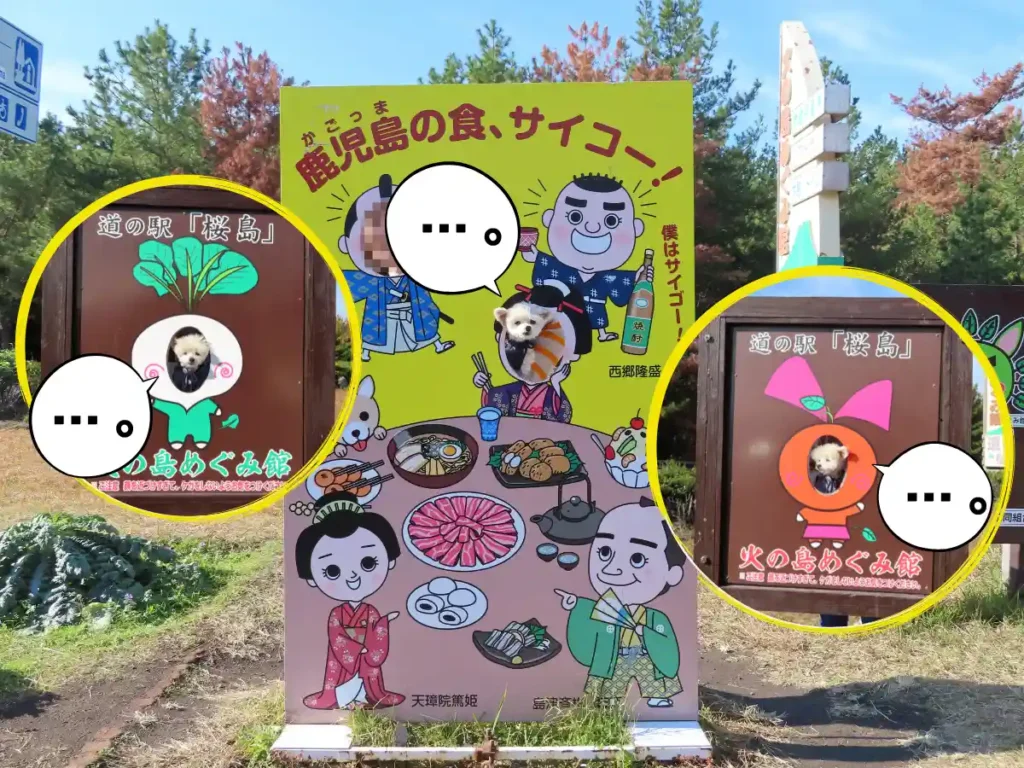 道の駅「桜島」火の島めぐみ館のフォトスポット