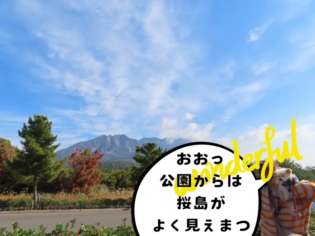 赤水展望広場から見る桜島