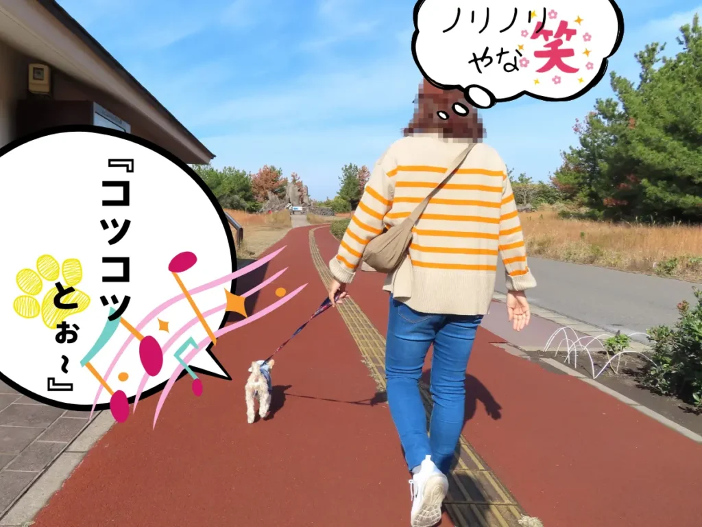 赤水展望広場を歩く犬