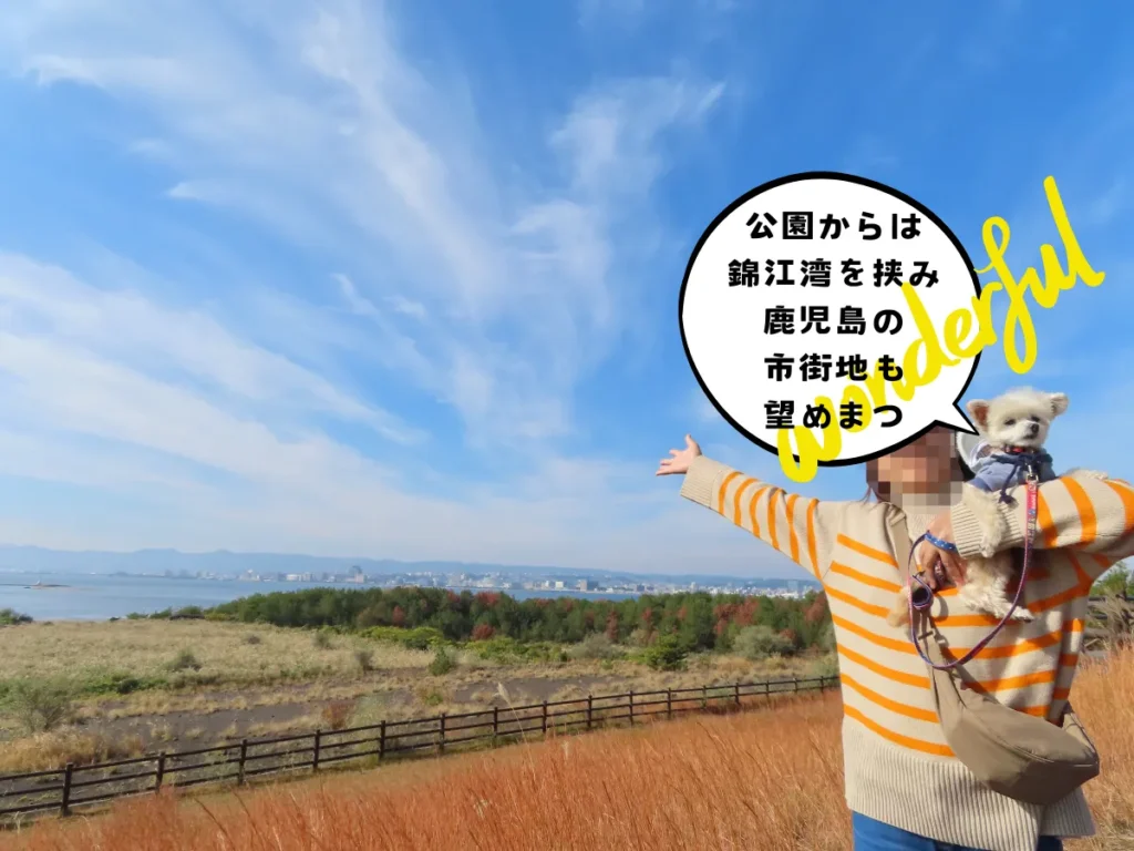 赤水展望広場から見る鹿児島市街地