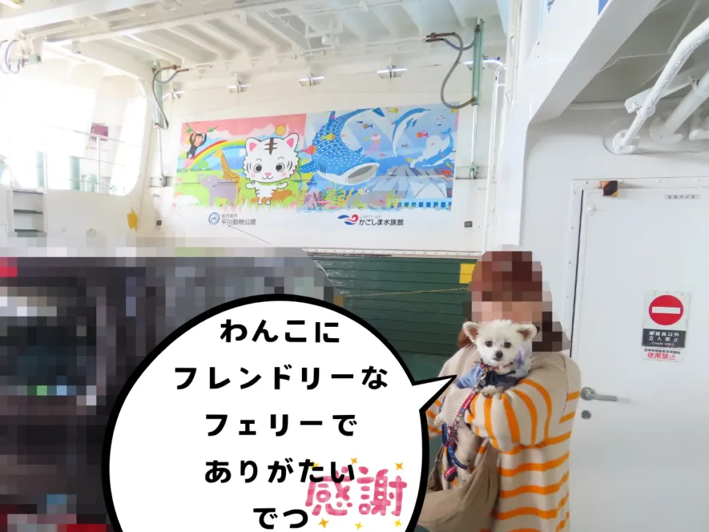 桜島フェリーの船内