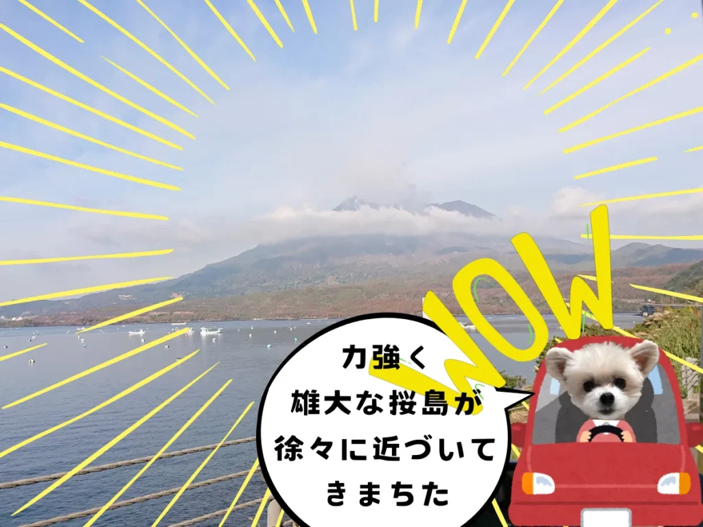 道中の車内から見る桜島