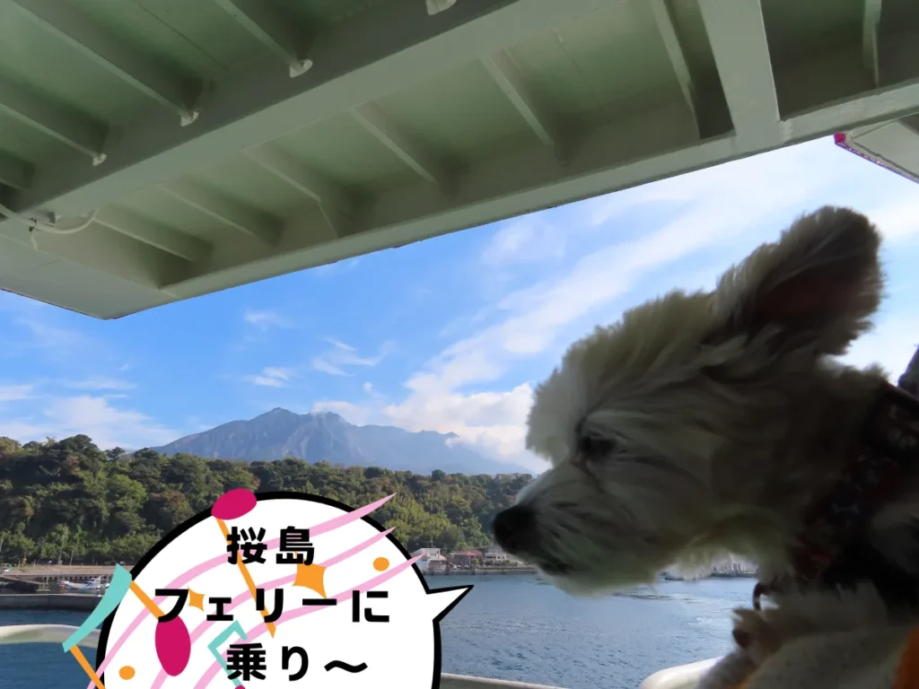桜島フェリーから見る桜島