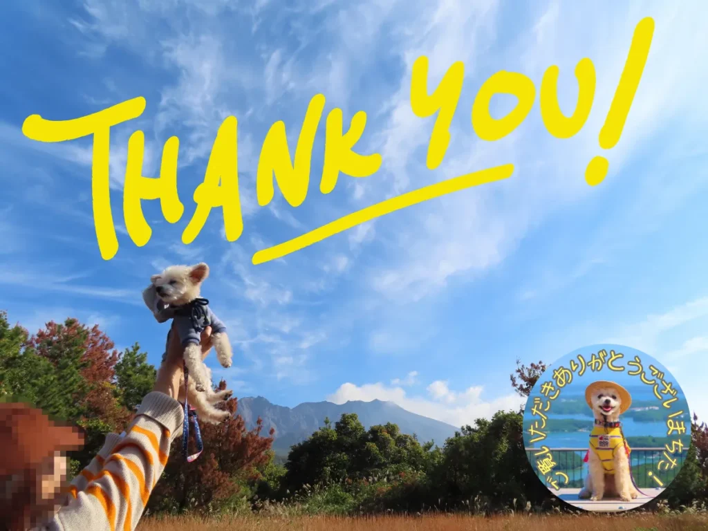 桜島へ犬連れ旅、感謝の言葉