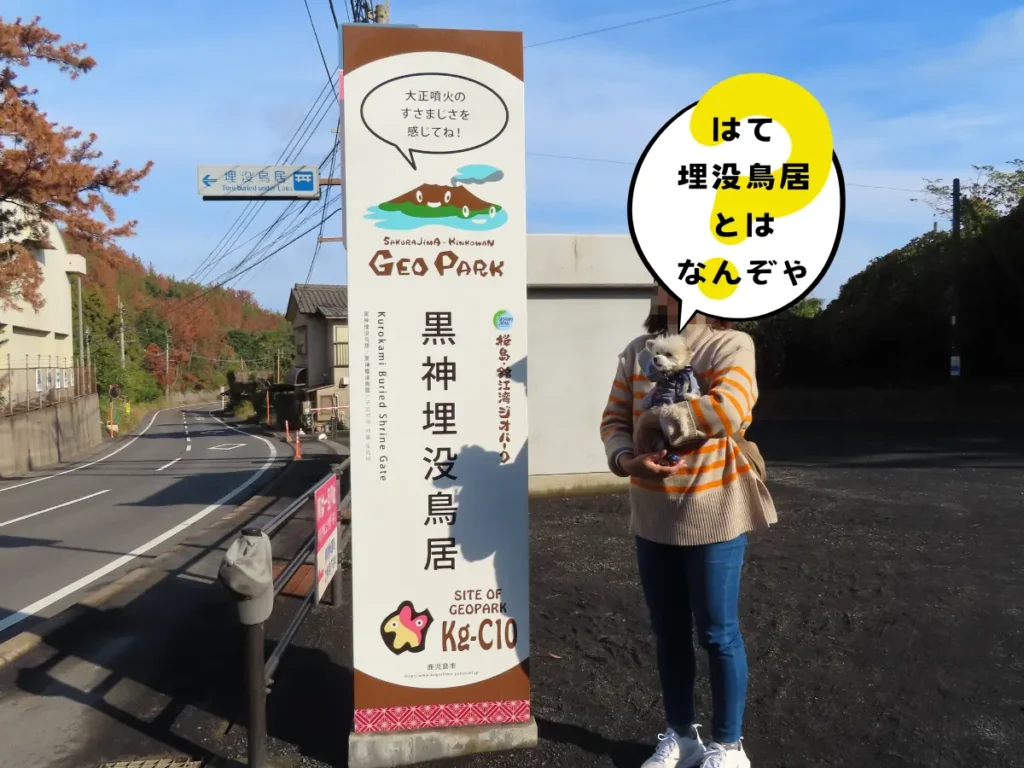 黒神埋没鳥居の案内板