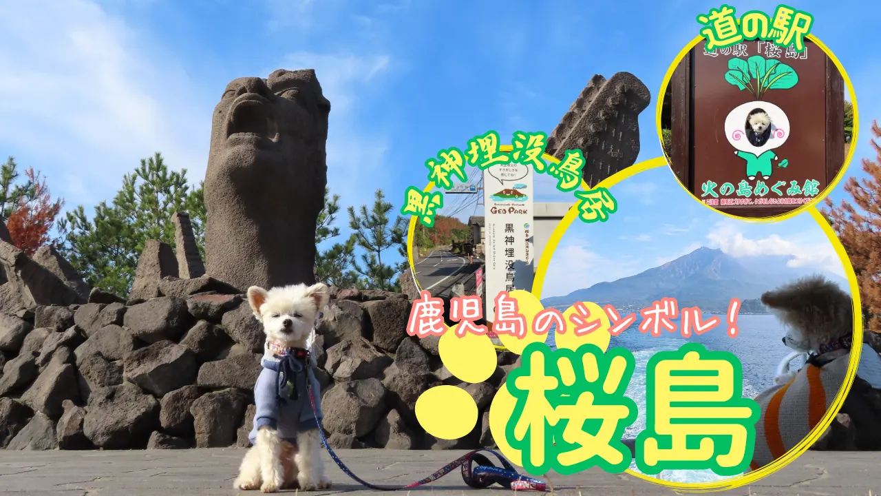 桜島へ犬連れ旅サムネイル