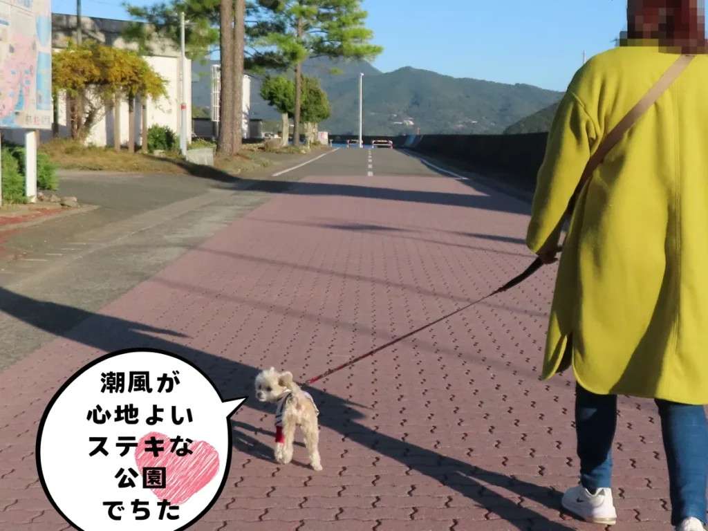 港町を歩く犬とママ