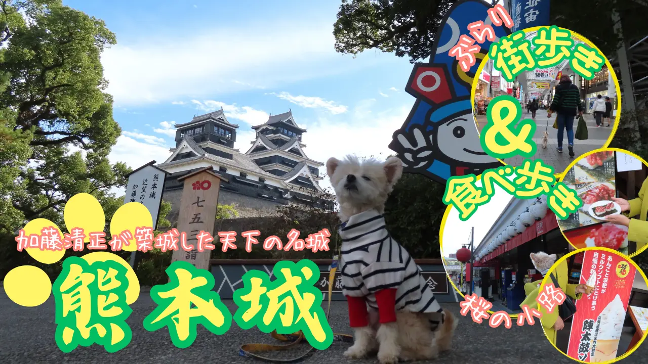 熊本城へ犬連れ旅サムネイル