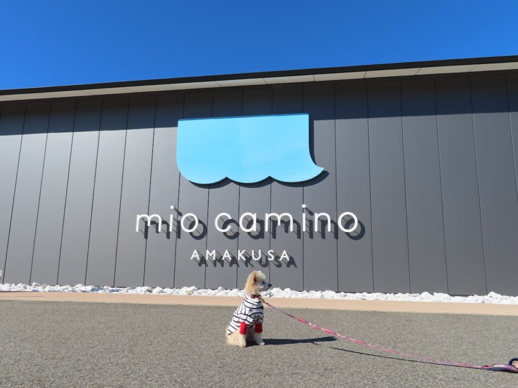 ミオ·カミーノ天草で記念撮影する犬