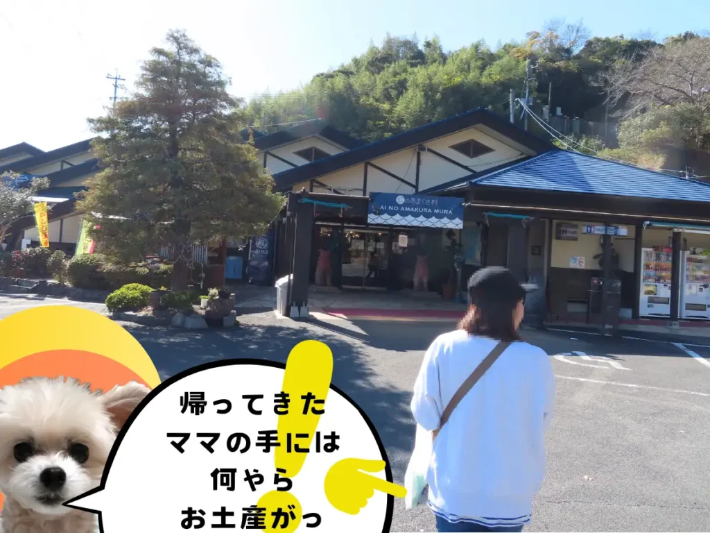 天草うまかもん市場から戻ってきたママ