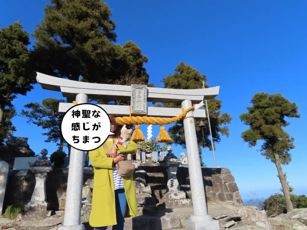 倉岳神社のお社