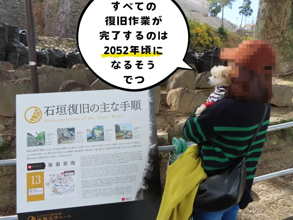 石垣の復旧作業