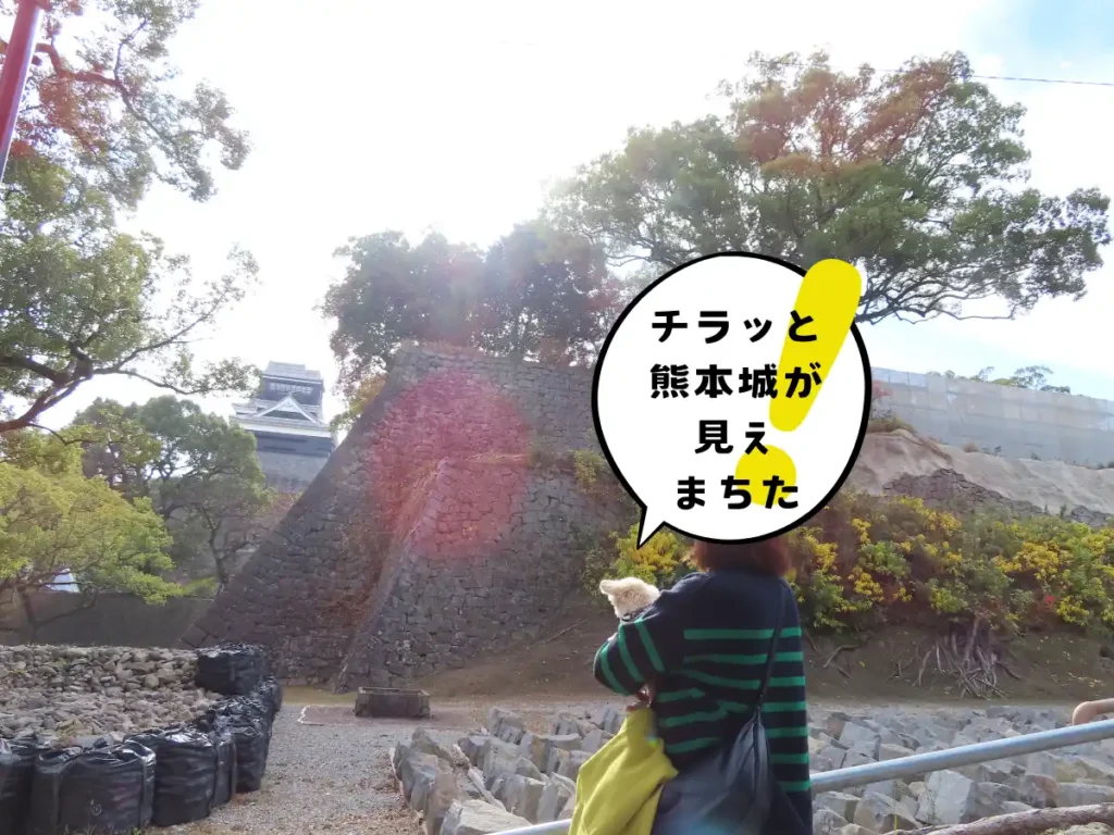 棒庵坂から見る熊本城