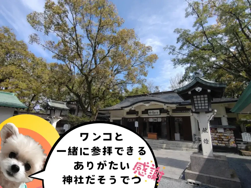 加藤神社の拝殿