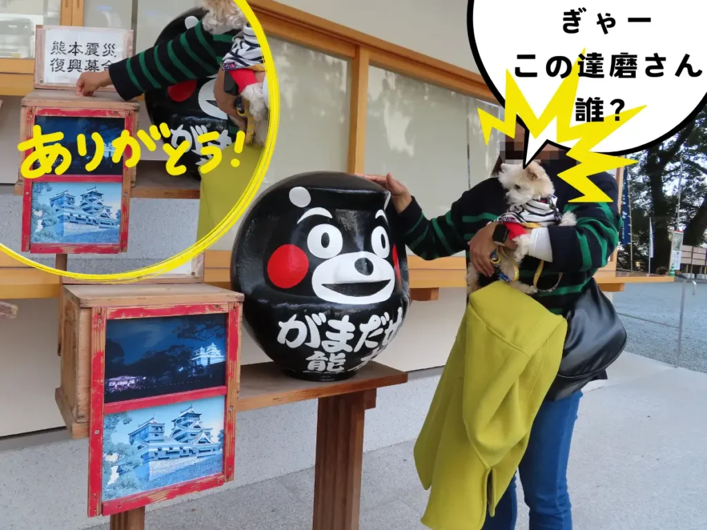 熊本震災の復興募金とくまモンのだるま