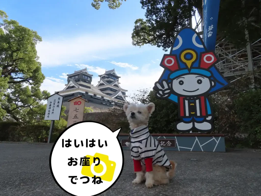 熊本城・近望の名所と犬