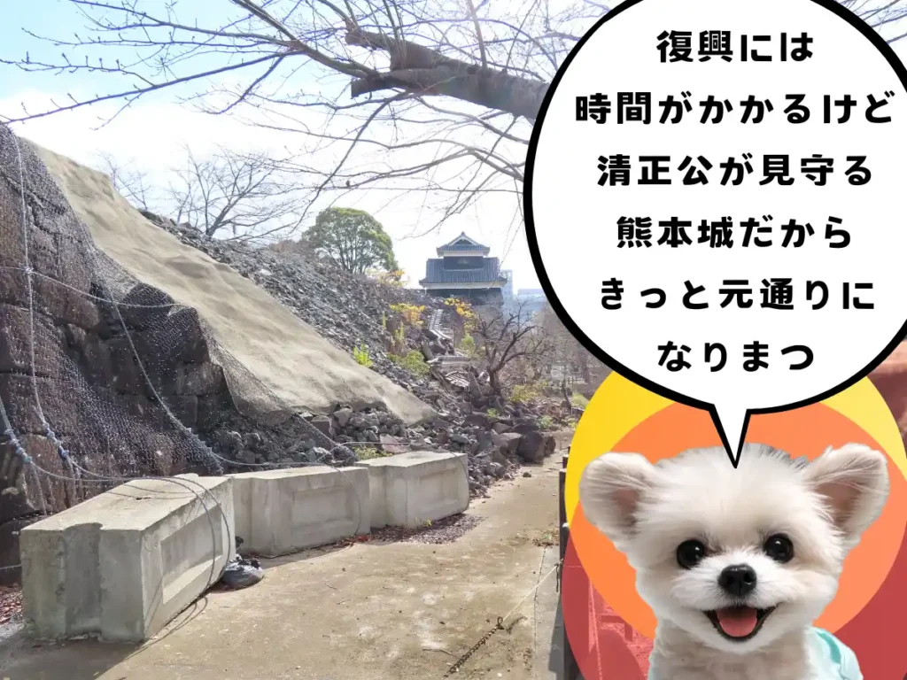 大きく崩れた熊本城の石垣