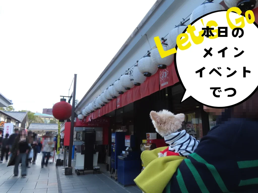 桜の馬場 城彩苑