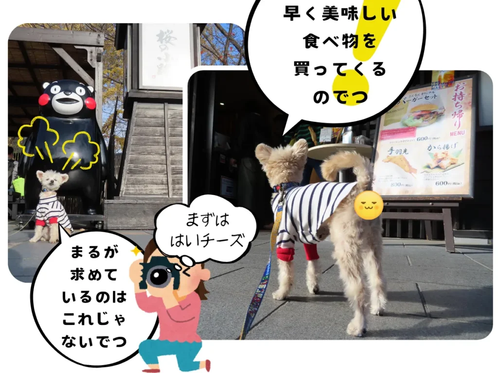 桜の馬場 城彩苑で記念撮影する犬