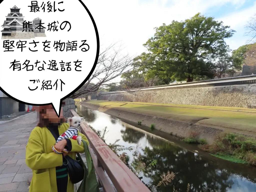 長堀で物思いにふけるママと犬