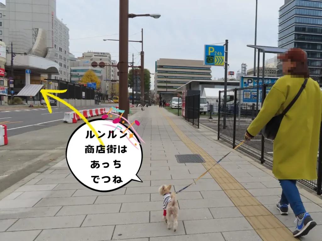 大通から下通アーケードへ歩く