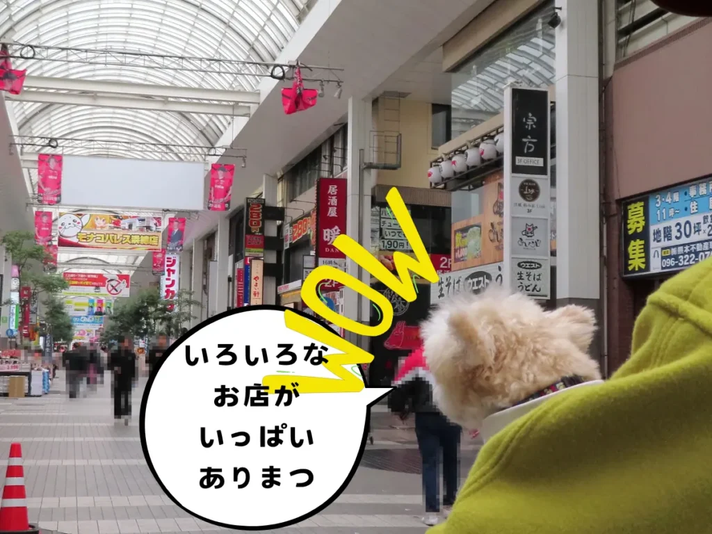 下通アーケードの街並み